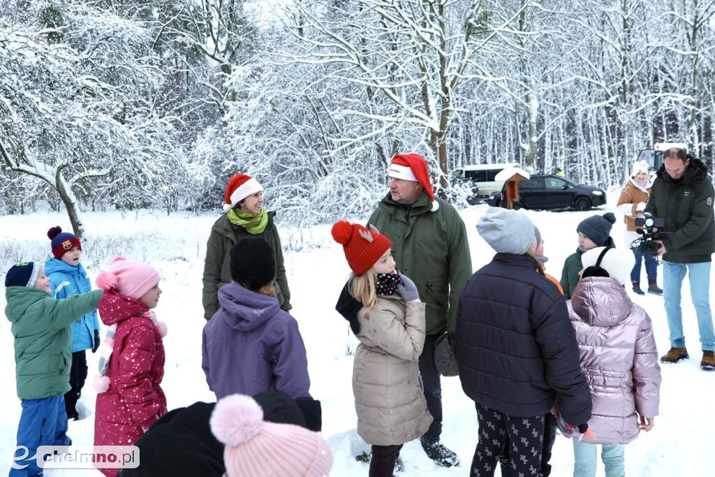 Wybraliśmy świąteczne drzewko