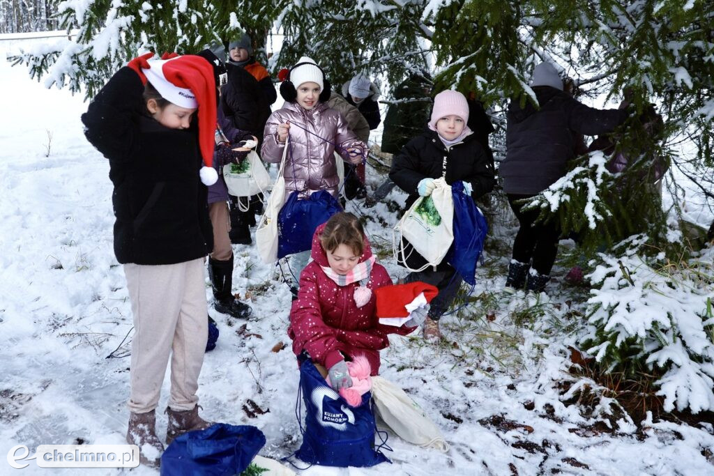 Wybraliśmy świąteczne drzewko