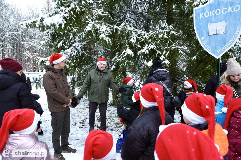 Wybraliśmy świąteczne drzewko