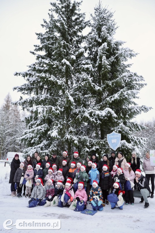 Wybraliśmy świąteczne drzewko