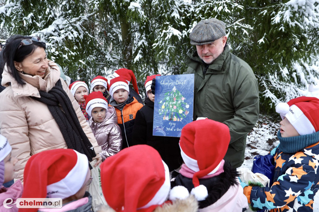 Wybraliśmy świąteczne drzewko