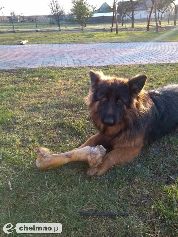 FLAMA – Szukamy Cię nieustannie od ponad 3 lat