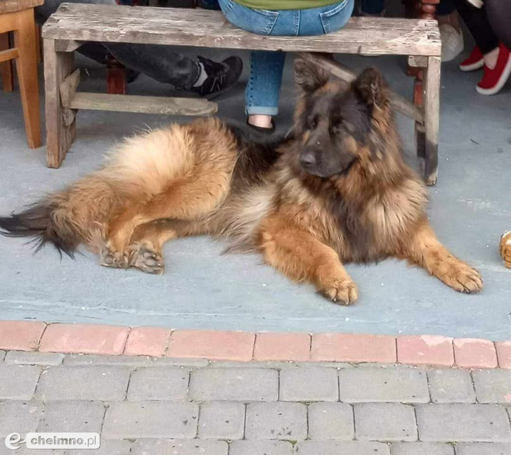 FLAMA – Szukamy Cię nieustannie od ponad 3 lat