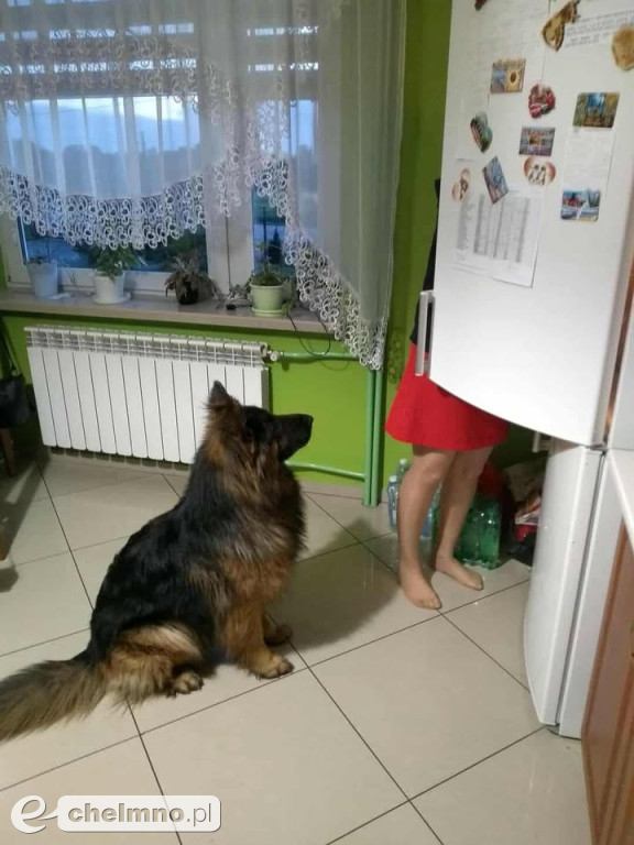 FLAMA – Szukamy Cię nieustannie od ponad 3 lat