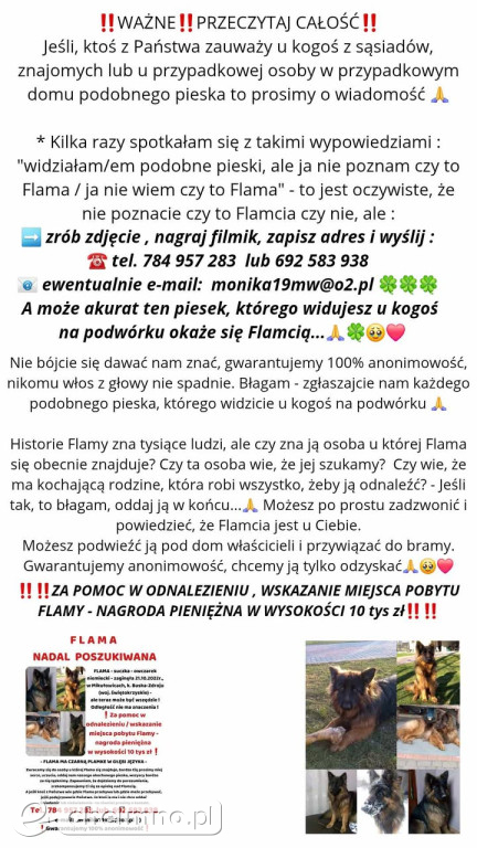 FLAMA – Szukamy Cię nieustannie od ponad 3 lat