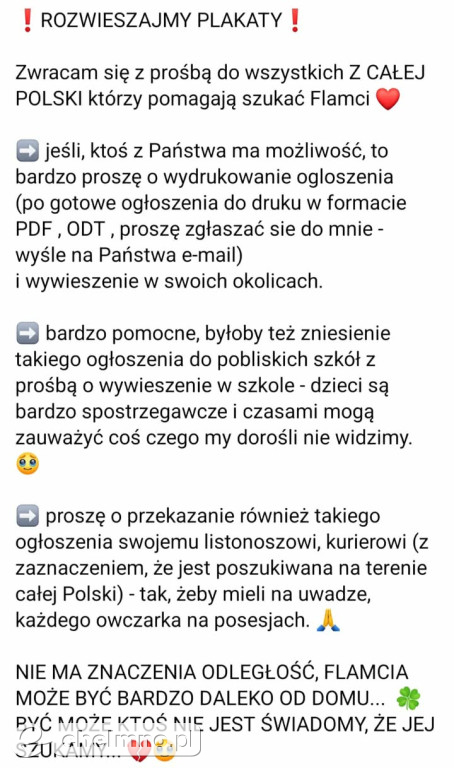 FLAMA – Szukamy Cię nieustannie od ponad 3 lat