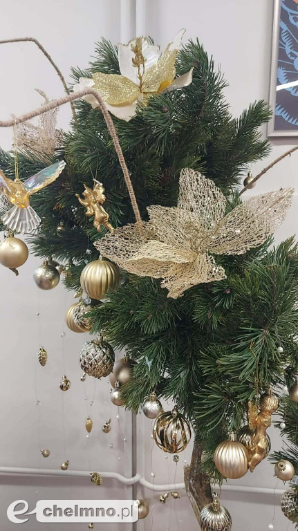 Wyłoniono mistrzów bożonarodzeniowych aranżacji!