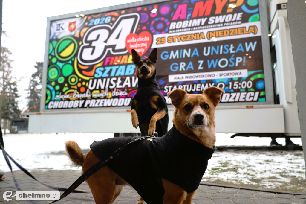 Polonezowe zwycięstwo!