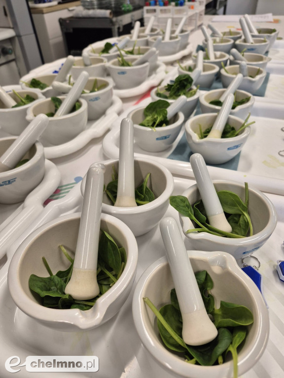 Ferie z Gminnym Ośrodkiem Kultury w Kijewie Królewskim