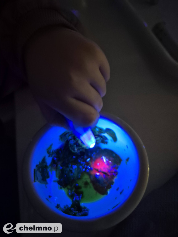 Ferie z Gminnym Ośrodkiem Kultury w Kijewie Królewskim