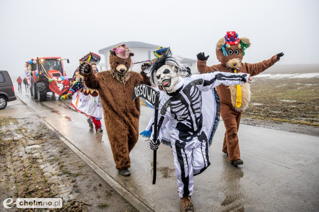 Na Kujawach kozy rządzą aż do Popielca (fotoreportaż)