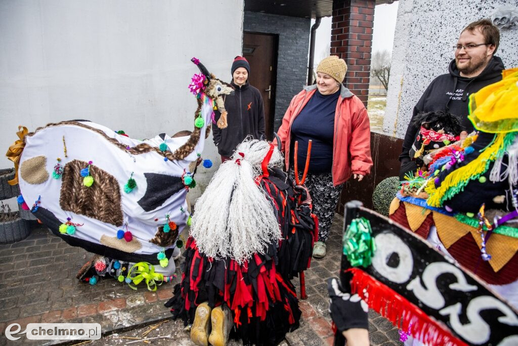 Na Kujawach kozy rządzą aż do Popielca (fotoreportaż)
