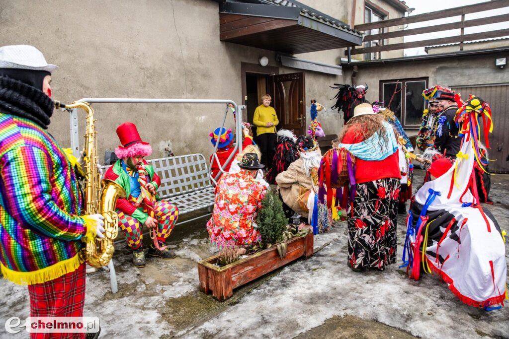 Na Kujawach kozy rządzą aż do Popielca (fotoreportaż)