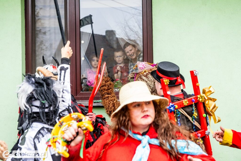 Na Kujawach kozy rządzą aż do Popielca (fotoreportaż)