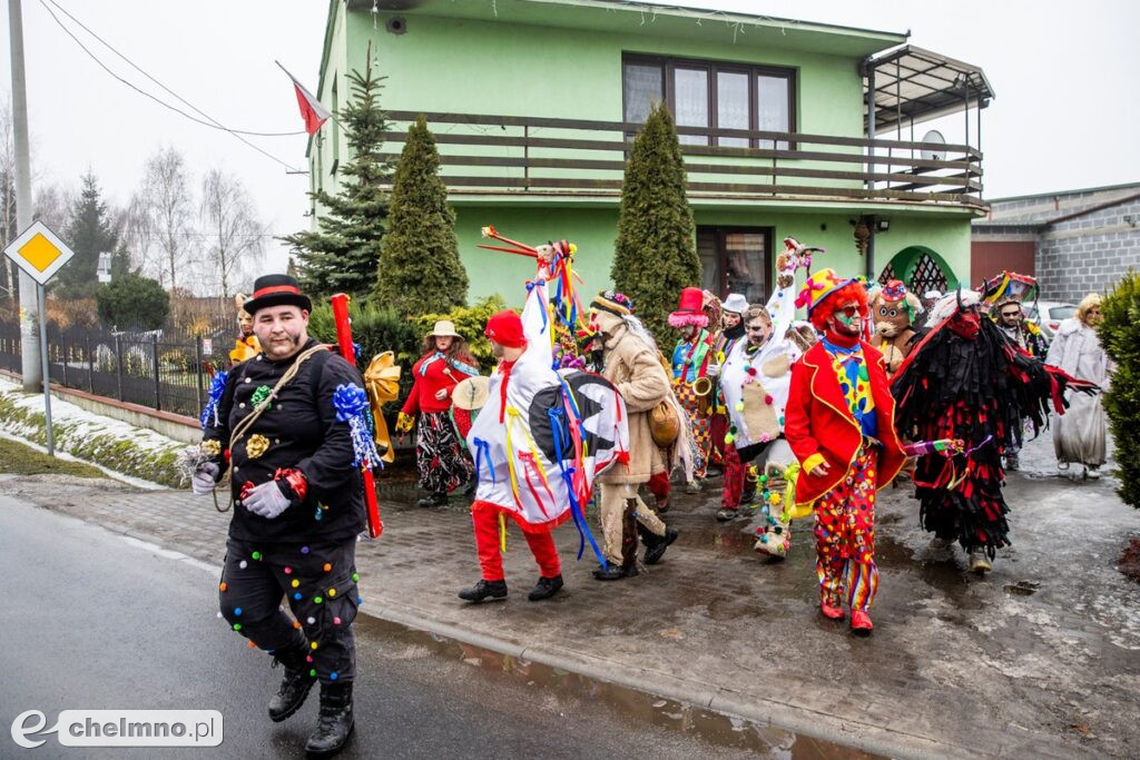 Na Kujawach kozy rządzą aż do Popielca (fotoreportaż)