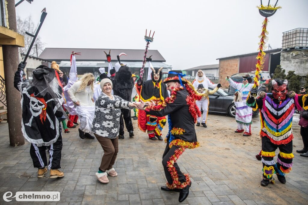 Na Kujawach kozy rządzą aż do Popielca (fotoreportaż)
