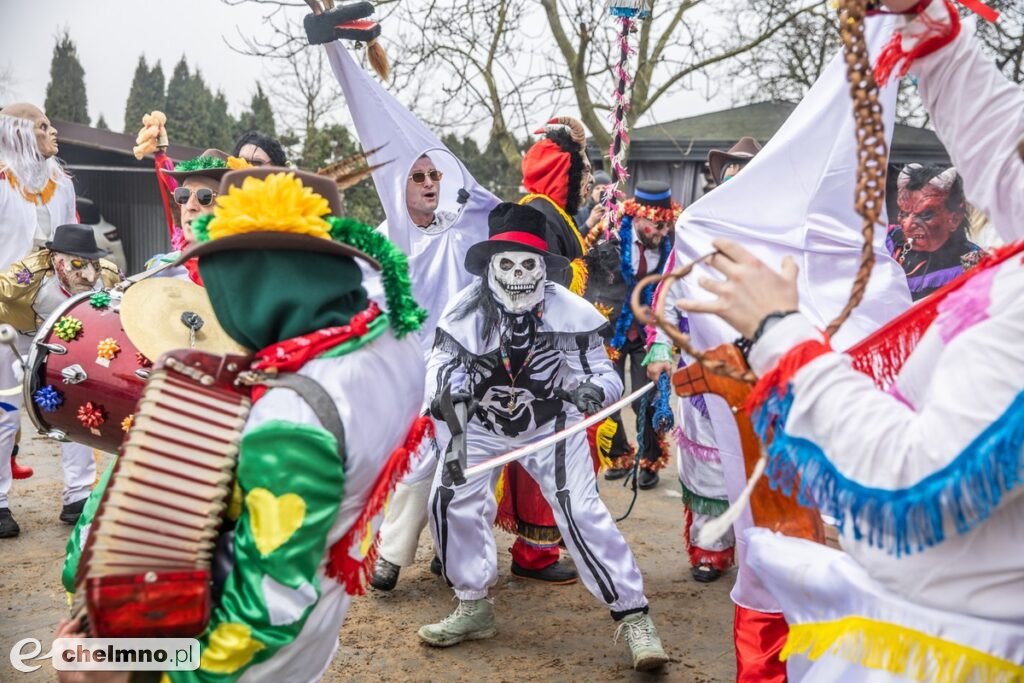 Na Kujawach kozy rządzą aż do Popielca (fotoreportaż)