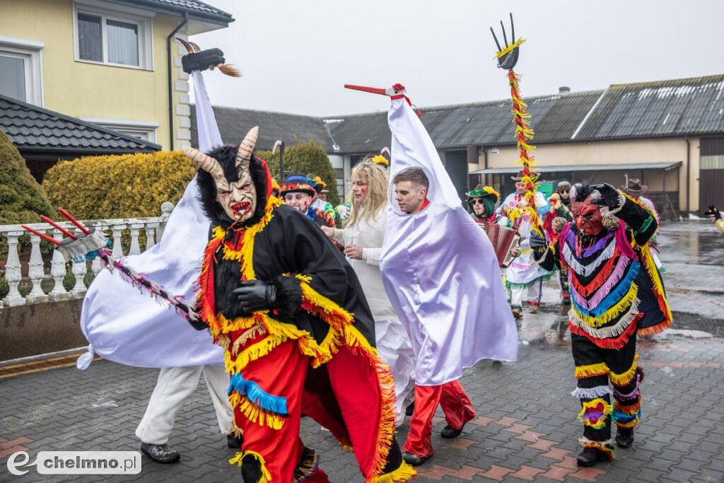Na Kujawach kozy rządzą aż do Popielca (fotoreportaż)