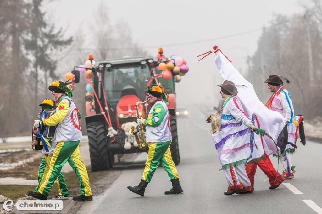 Na Kujawach kozy rządzą aż do Popielca (fotoreportaż)