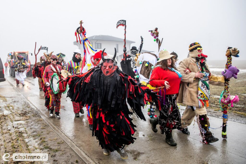 Na Kujawach kozy rządzą aż do Popielca (fotoreportaż)
