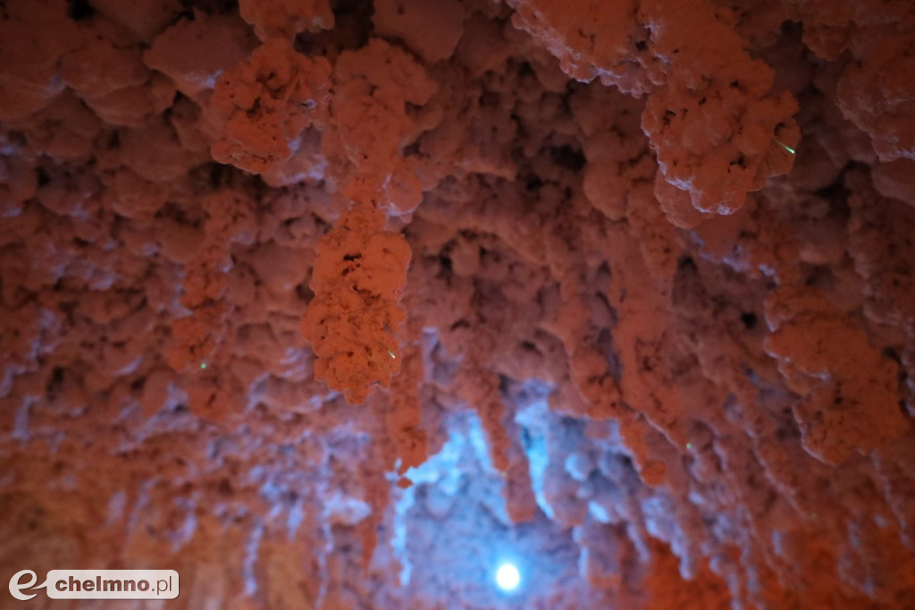 Integracyjnie z seniorami