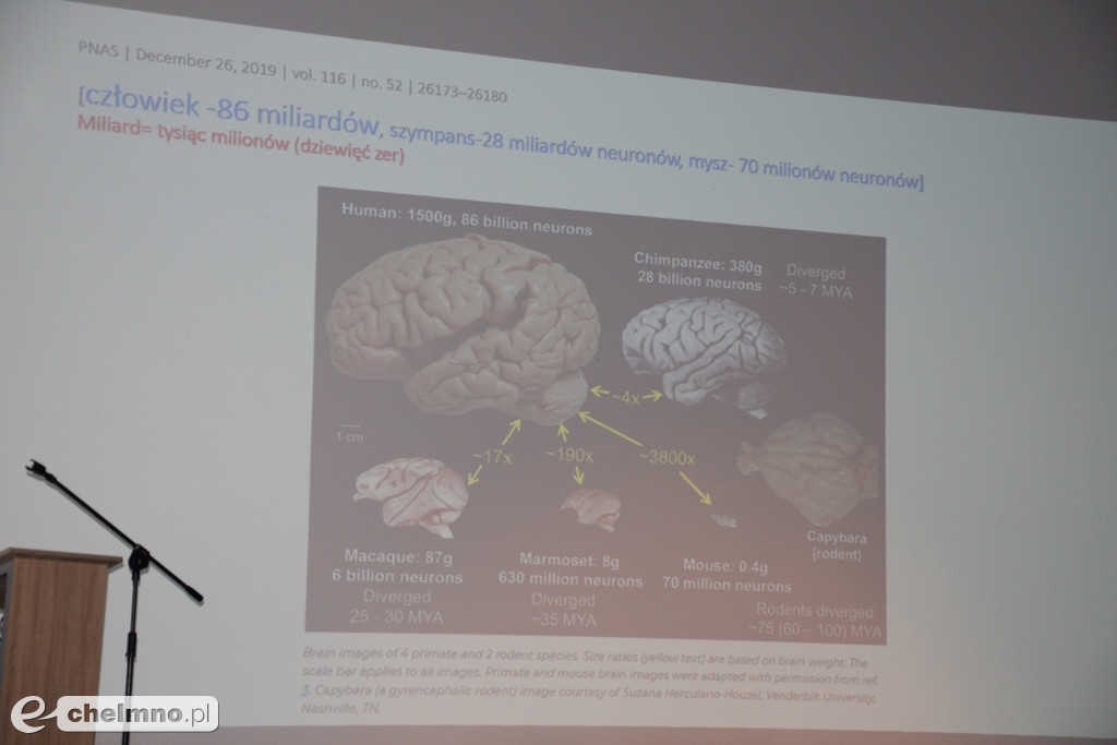 Konferencja zdrowotna: Młodzi pełni zdrowia i świadomych wyborów