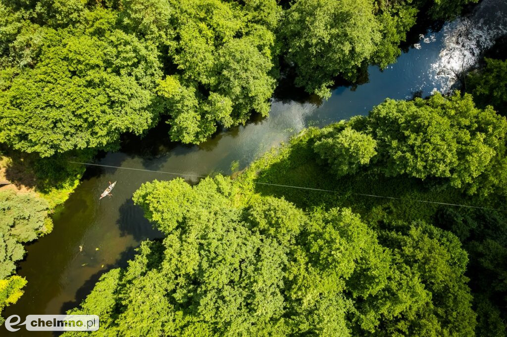 Tucholski Park Krajobrazowy – 40 lat ochrony przyrody