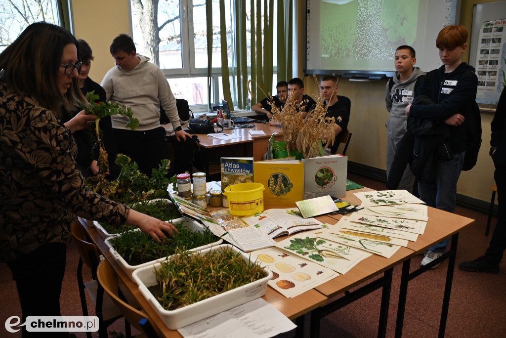 Tłumy uczniów na \