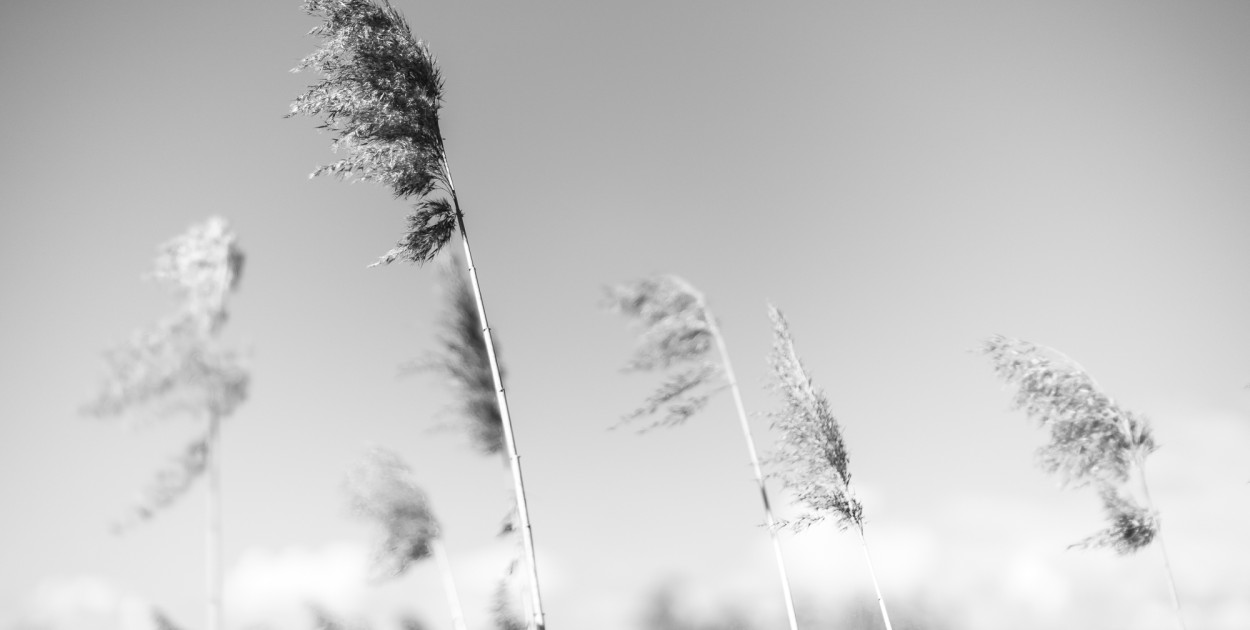 Minimalizm w kadrze – kilka ujęć...