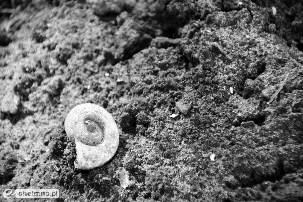 Minimalizm w kadrze – kilka ujęć...