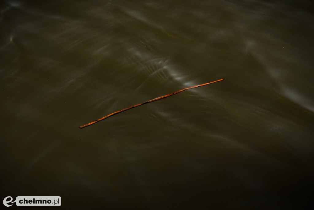 Minimalizm w kadrze – kilka ujęć...