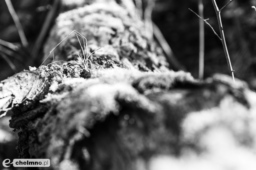 Minimalizm w kadrze – kilka ujęć...