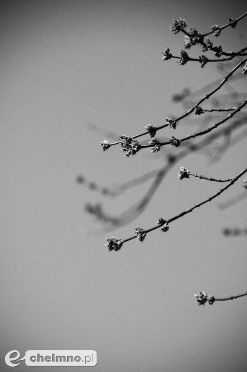 Minimalizm w kadrze – kilka ujęć...