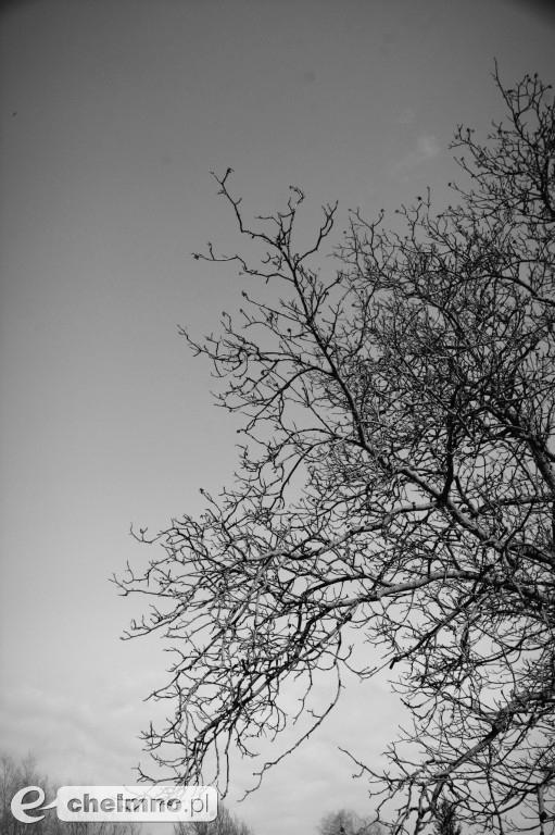 Minimalizm w kadrze – kilka ujęć...