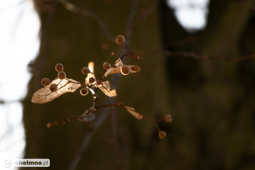 Minimalizm w kadrze – kilka ujęć...