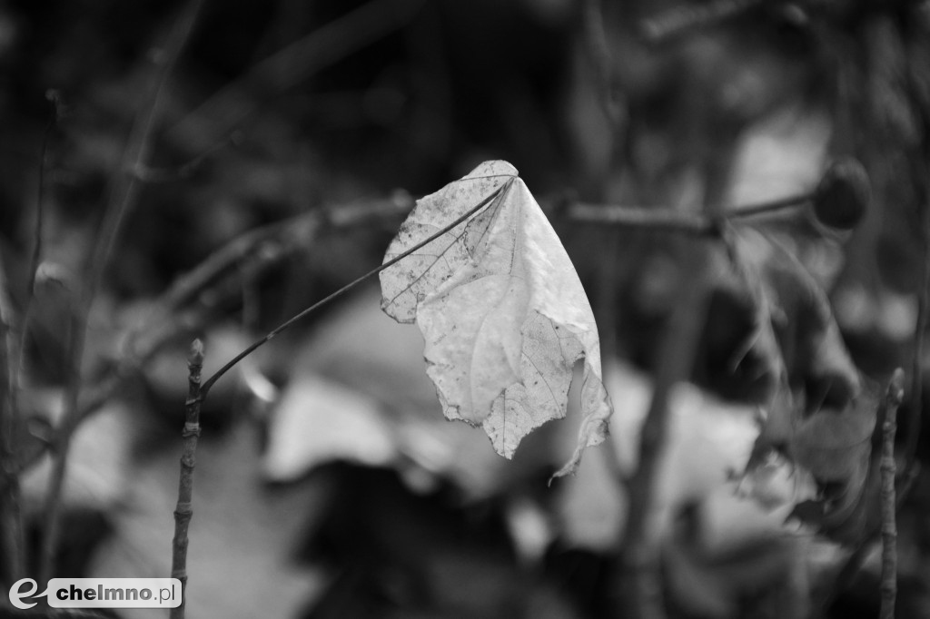 Minimalizm w kadrze – kilka ujęć...