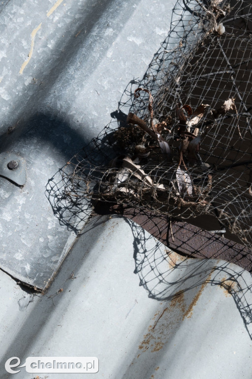 Minimalizm w kadrze – kilka ujęć...