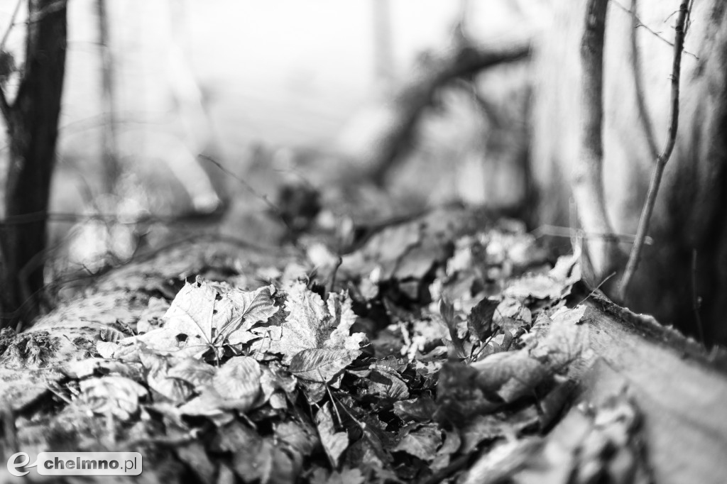 Minimalizm w kadrze – kilka ujęć...