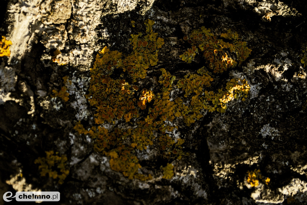 Minimalizm w kadrze – kilka ujęć...