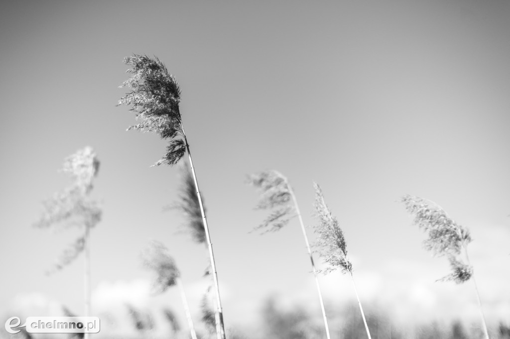 Minimalizm w kadrze – kilka ujęć...