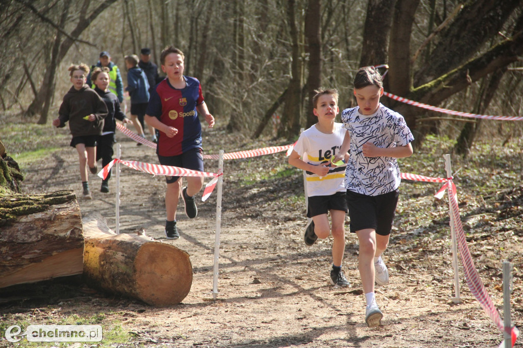 Przełaje w Parku Słowackiego w Chełmnie Rywalizowało 100 uczniów