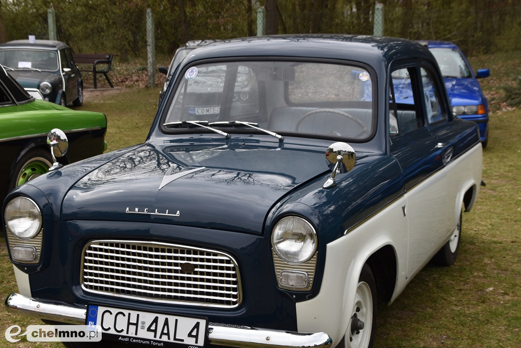 Piknik charytatywny „Gramy dla Dominika Berendt”