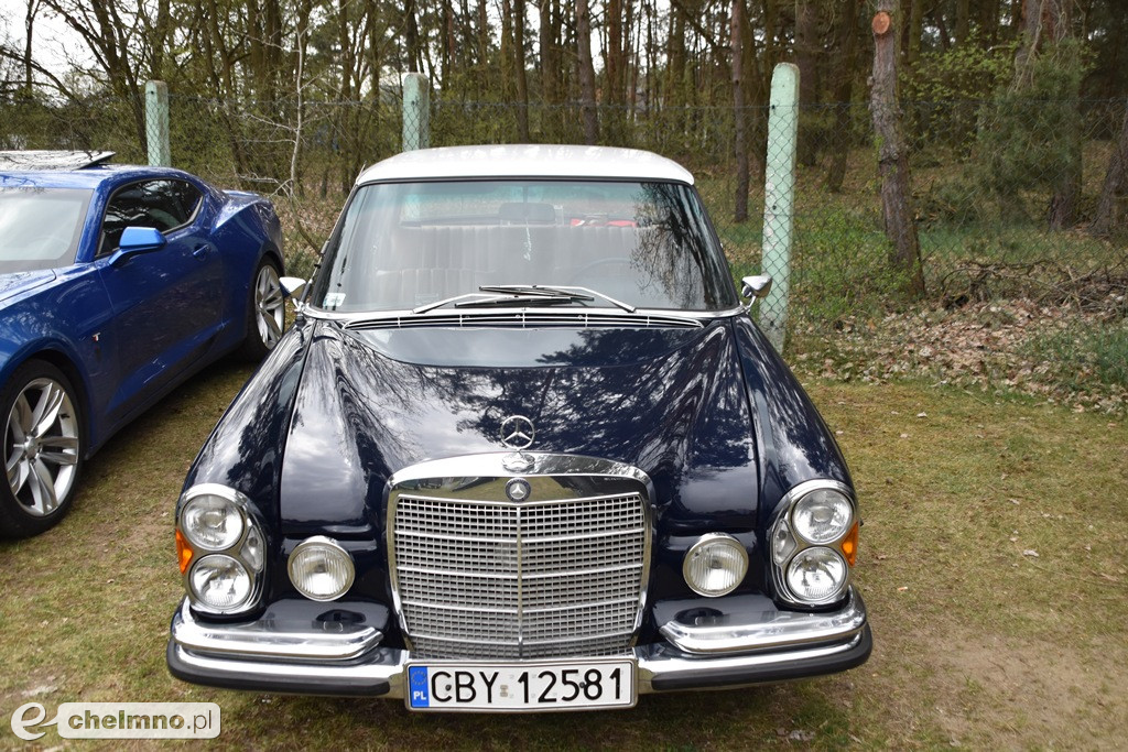 Piknik charytatywny „Gramy dla Dominika Berendt”