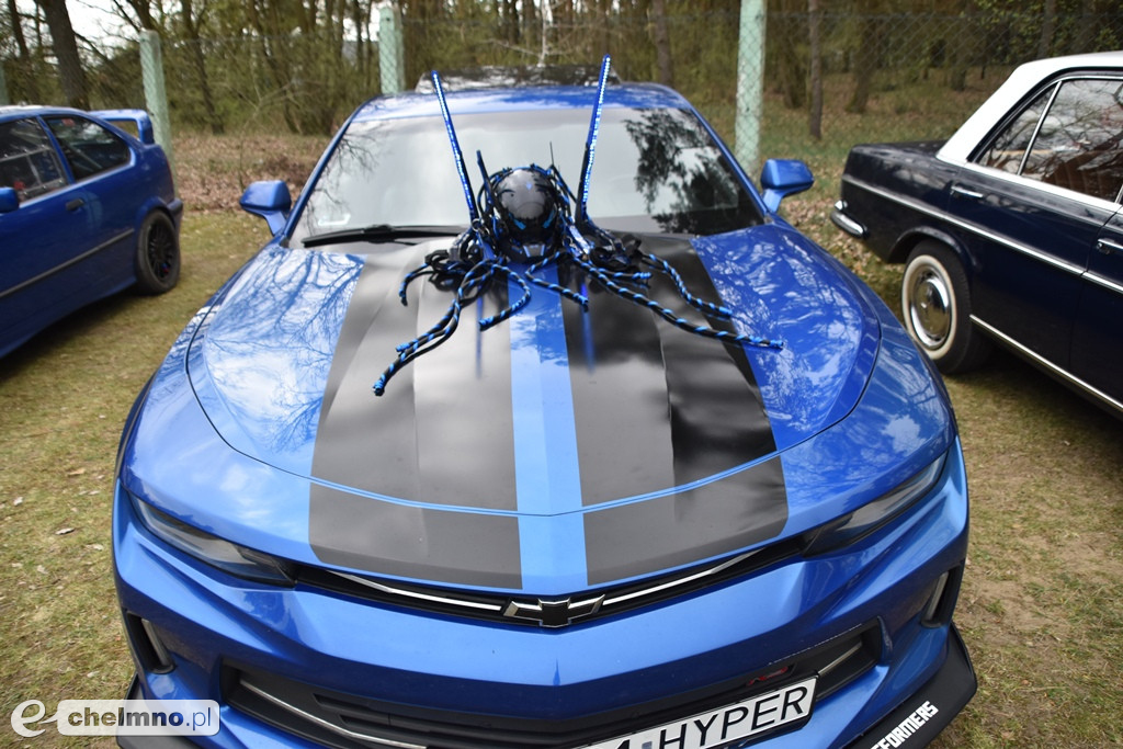 Piknik charytatywny „Gramy dla Dominika Berendt”