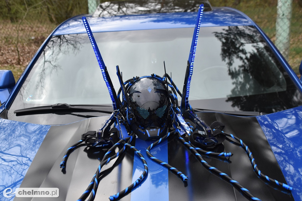 Piknik charytatywny „Gramy dla Dominika Berendt”