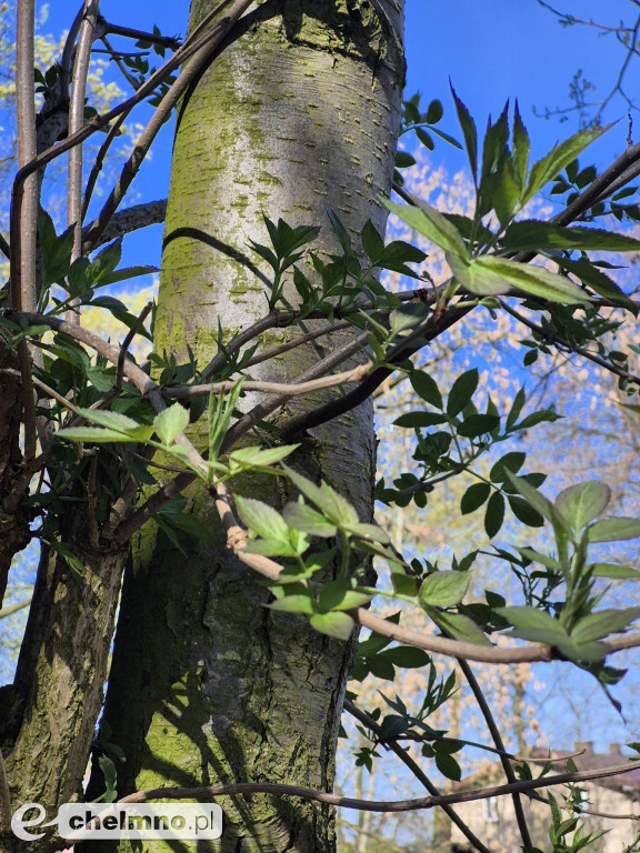 Pierwsze spotkanie z cyklu „Kultura w Zielonej Przestrzeni”