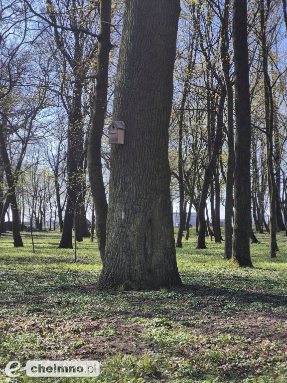 Pierwsze spotkanie z cyklu „Kultura w Zielonej Przestrzeni”