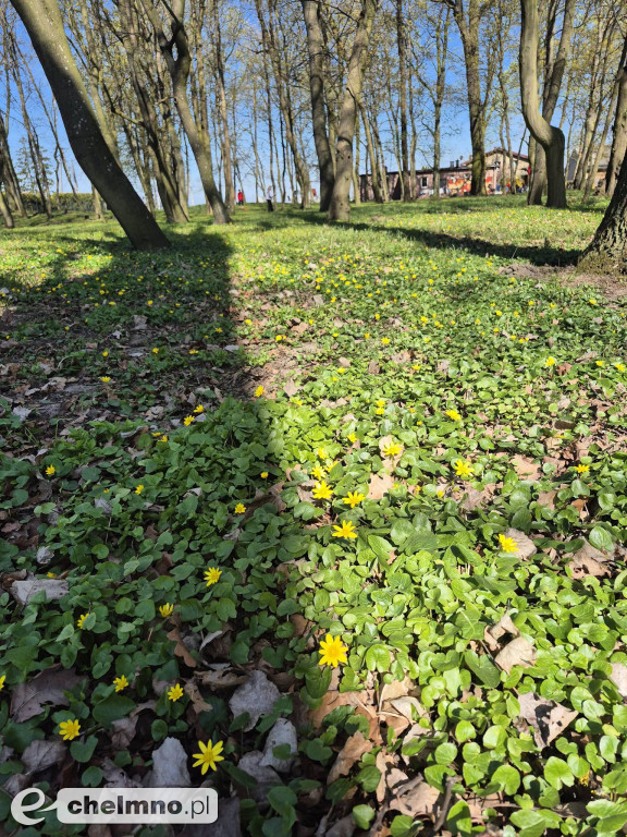 Pierwsze spotkanie z cyklu „Kultura w Zielonej Przestrzeni”