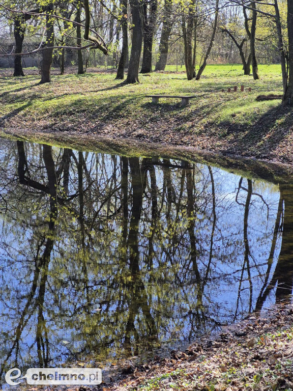 Pierwsze spotkanie z cyklu „Kultura w Zielonej Przestrzeni”