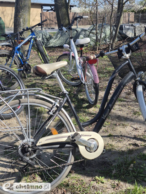 Pierwsze spotkanie z cyklu „Kultura w Zielonej Przestrzeni”